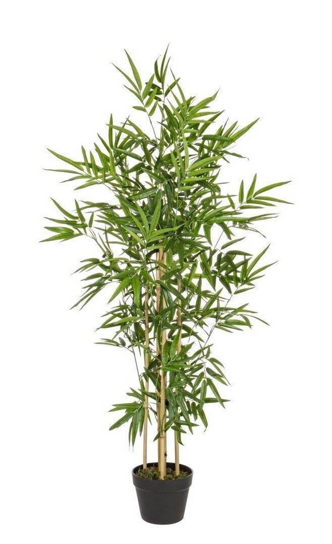Pianta Bamboo 130 cm Bizzotto