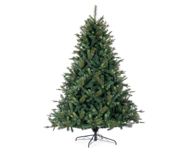 Albero Sanford Bizzotto