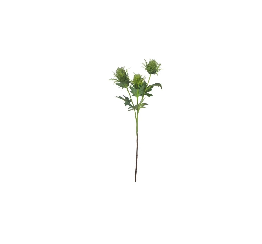Ramo Dipsacus Hazely X3F Bizzotto